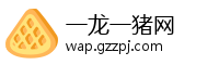 一龙一猪网